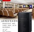 A系列经济型专业音响A12