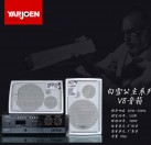 YARJOEN V8白雪公主系列音响 K歌 会议 教学音箱
