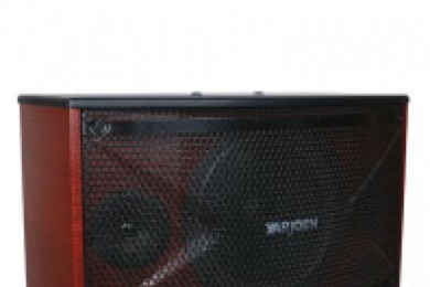 YARJOEN音爵	25A"10""全频卡包音箱 会议教学用"