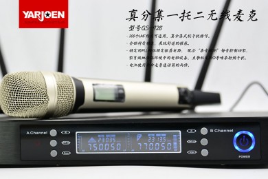 YARJOEN GS928一托二专业演出真分集麦克风